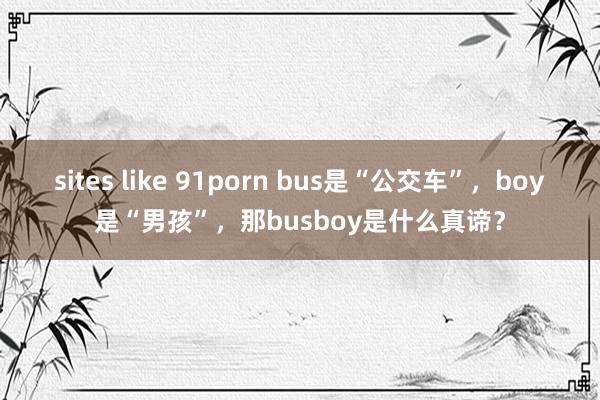 sites like 91porn bus是“公交车”，boy是“男孩”，那busboy是什么真谛？