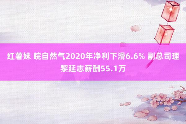 红薯妹 皖自然气2020年净利下滑6.6% 副总司理黎延志薪酬55.1万