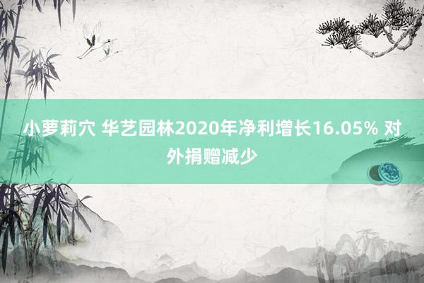 小萝莉穴 华艺园林2020年净利增长16.05% 对外捐赠减少