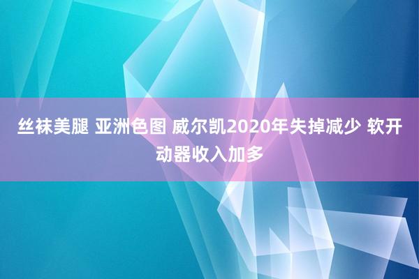 丝袜美腿 亚洲色图 威尔凯2020年失掉减少 软开动器收入加多