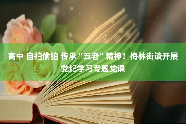 高中 自拍偷拍 传承“五老”精神！梅林街谈开展党纪学习专题党课