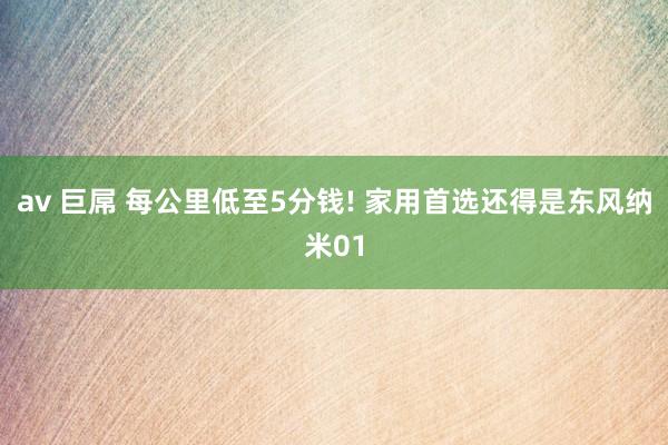 av 巨屌 每公里低至5分钱! 家用首选还得是东风纳米01