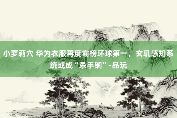 小萝莉穴 华为衣服再度霸榜环球第一，玄玑感知系统或成“杀手锏”-品玩