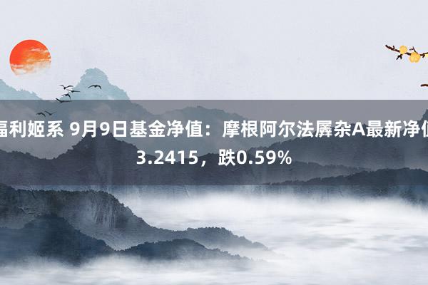 福利姬系 9月9日基金净值：摩根阿尔法羼杂A最新净值3.2415，跌0.59%