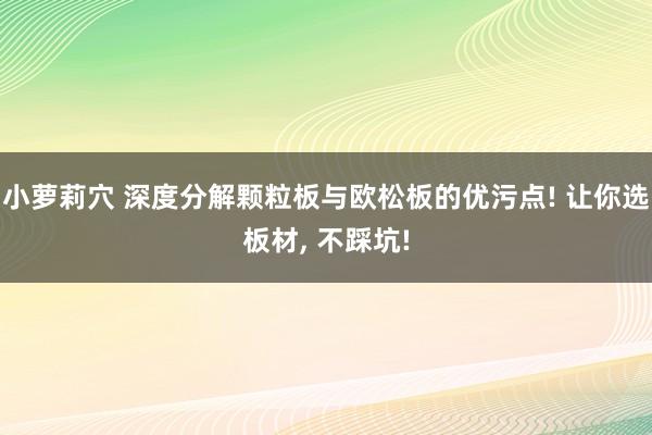 小萝莉穴 深度分解颗粒板与欧松板的优污点! 让你选板材， 不踩坑!