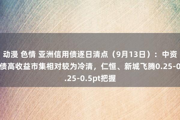 动漫 色情 亚洲信用债逐日清点（9月13日）：中资好意思元债高收益市集相对较为冷清，仁恒、新城飞腾0.25-0.5pt把握