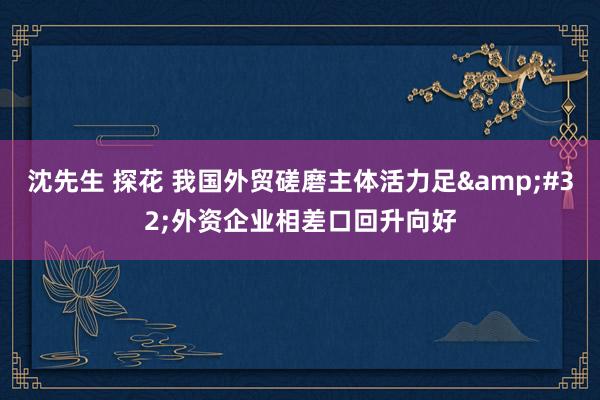 沈先生 探花 我国外贸磋磨主体活力足&#32;外资企业相差口回升向好