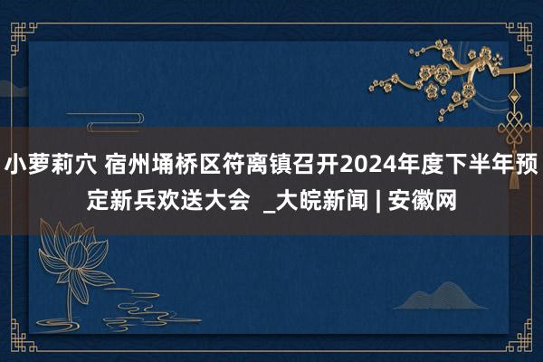 小萝莉穴 宿州埇桥区符离镇召开2024年度下半年预定新兵欢送大会  _大皖新闻 | 安徽网