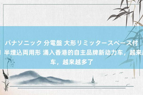 パナソニック 分電盤 大形リミッタースペース付 露出・半埋込両用形 涌入香港的自主品牌新动力车，越来越多了