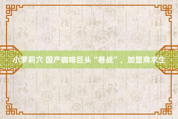 小萝莉穴 国产咖啡巨头“巷战”，加盟商求生