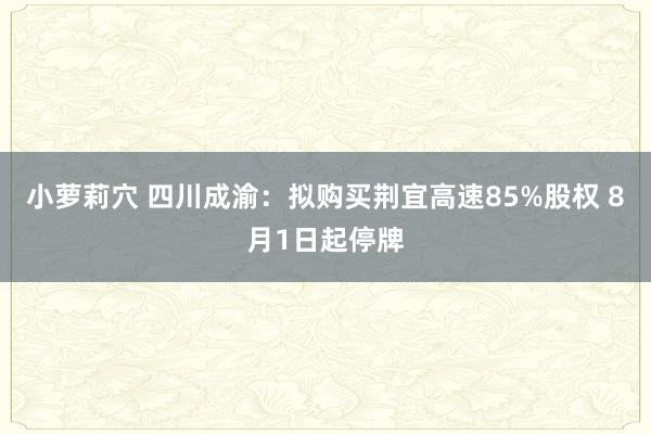 小萝莉穴 四川成渝：拟购买荆宜高速85%股权 8月1日起停牌