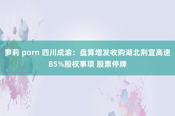 萝莉 porn 四川成渝：盘算增发收购湖北荆宜高速85%股权事项 股票停牌