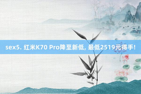 sex5. 红米K70 Pro降至新低， 最低2519元得手!