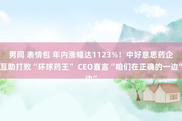 男同 表情包 年内涨幅达1123%！中好意思药企互助打败“环球药王” CEO直言“咱们在正确的一边”