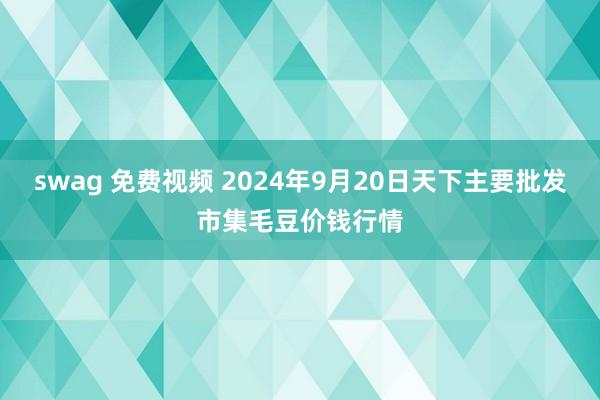 swag 免费视频 2024年9月20日天下主要批发市集毛豆价钱行情