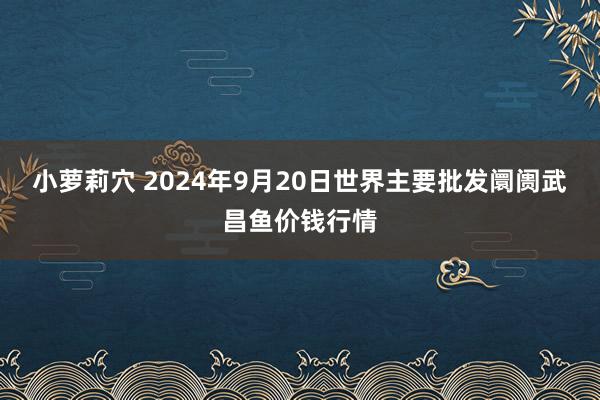 小萝莉穴 2024年9月20日世界主要批发阛阓武昌鱼价钱行情