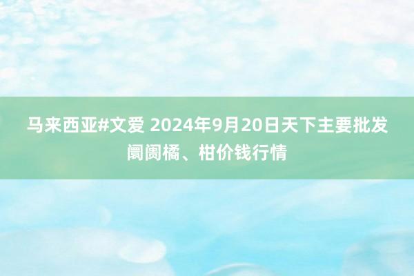 马来西亚#文爱 2024年9月20日天下主要批发阛阓橘、柑价钱行情