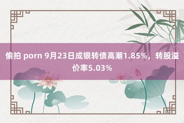 偷拍 porn 9月23日成银转债高潮1.85%，转股溢价率5.03%