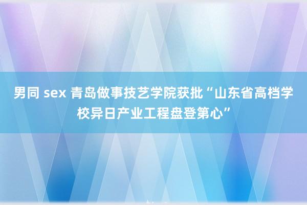 男同 sex 青岛做事技艺学院获批“山东省高档学校异日产业工程盘登第心”