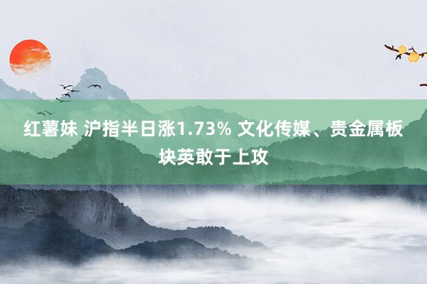 红薯妹 沪指半日涨1.73% 文化传媒、贵金属板块英敢于上攻