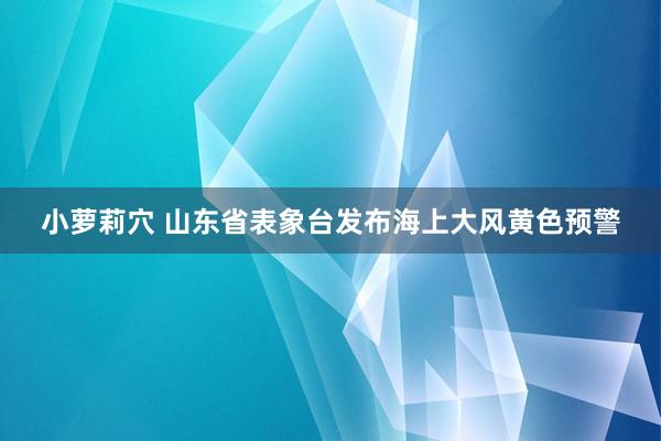 小萝莉穴 山东省表象台发布海上大风黄色预警