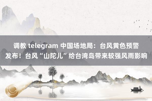 调教 telegram 中国场地局：台风黄色预警发布！台风“山陀儿”给台湾岛带来较强风雨影响