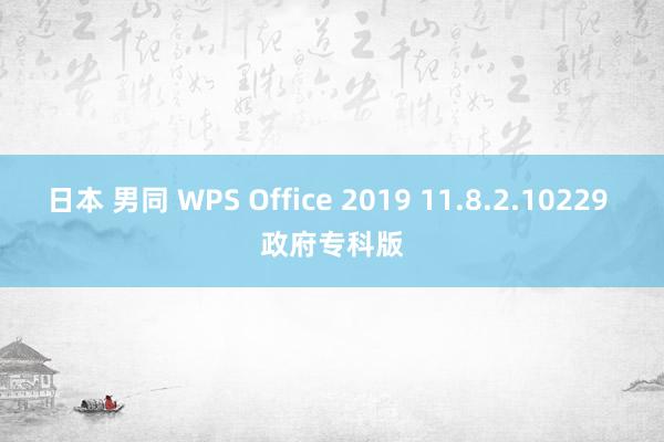 日本 男同 WPS Office 2019 11.8.2.10229 政府专科版