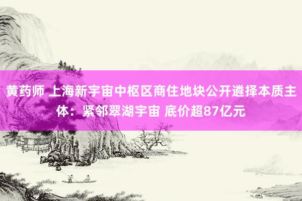 黄药师 上海新宇宙中枢区商住地块公开遴择本质主体：紧邻翠湖宇宙 底价超87亿元