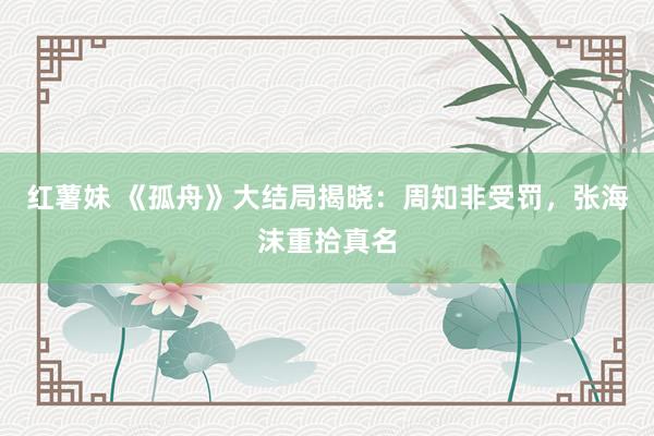 红薯妹 《孤舟》大结局揭晓：周知非受罚，张海沫重拾真名