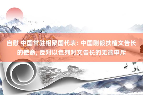 自慰 中国常驻相聚国代表: 中国刚毅扶植文告长的使命， 反对以色列对文告长的无端申斥