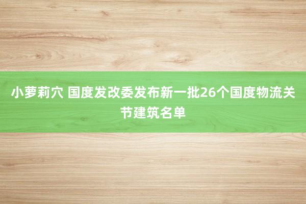 小萝莉穴 国度发改委发布新一批26个国度物流关节建筑名单