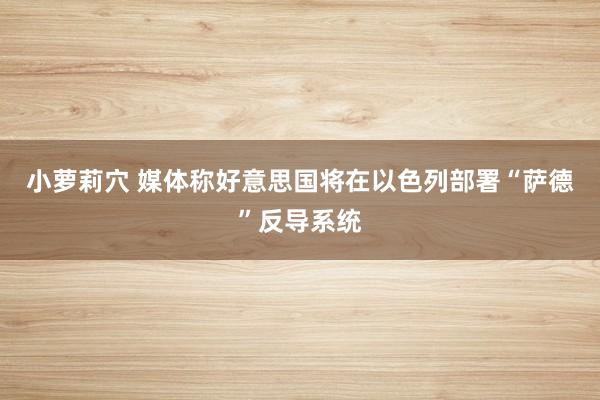 小萝莉穴 媒体称好意思国将在以色列部署“萨德”反导系统