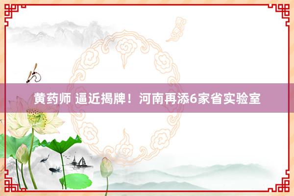 黄药师 逼近揭牌！河南再添6家省实验室