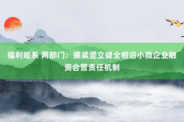 福利姬系 两部门：攥紧竖立健全相沿小微企业融资合营责任机制