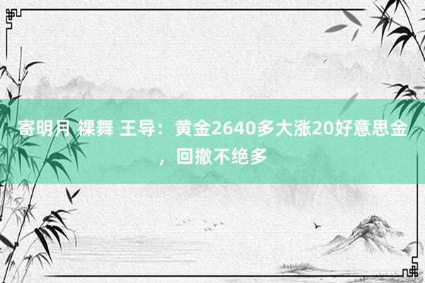 寄明月 裸舞 王导：黄金2640多大涨20好意思金，回撤不绝多