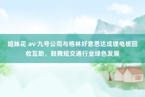 姐妹花 av 九号公司与格林好意思达成锂电板回收互助，鼓舞短交通行业绿色发展