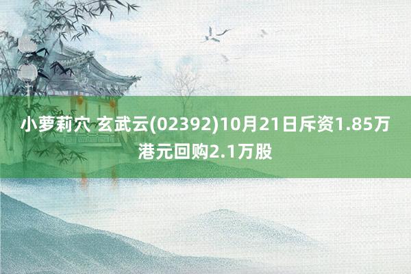 小萝莉穴 玄武云(02392)10月21日斥资1.85万港元回购2.1万股