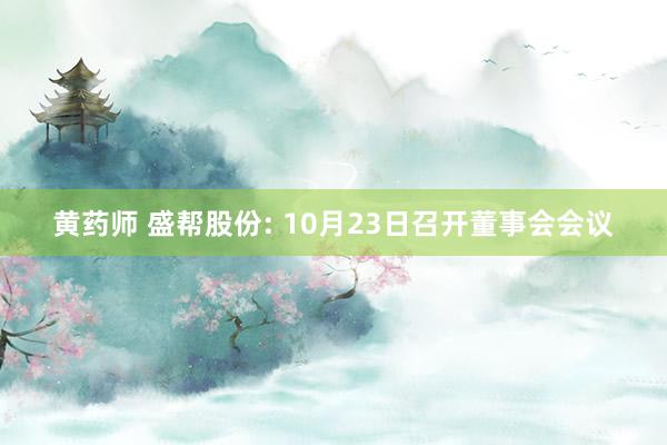 黄药师 盛帮股份: 10月23日召开董事会会议