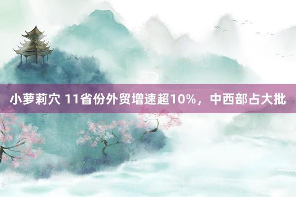 小萝莉穴 11省份外贸增速超10%，中西部占大批