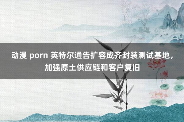 动漫 porn 英特尔通告扩容成齐封装测试基地，加强原土供应链和客户复旧