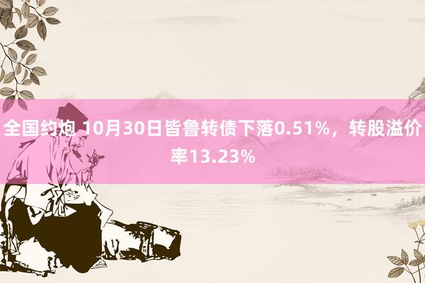 全国约炮 10月30日皆鲁转债下落0.51%，转股溢价率13.23%