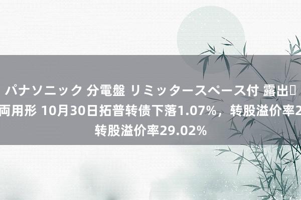 パナソニック 分電盤 リミッタースペース付 露出・半埋込両用形 10月30日拓普转债下落1.07%，转股溢价率29.02%