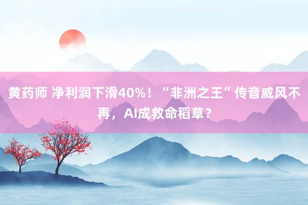 黄药师 净利润下滑40%！“非洲之王”传音威风不再，AI成救命稻草？