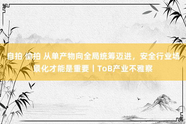 自拍 偷拍 从单产物向全局统筹迈进，安全行业场景化才能是重要丨ToB产业不雅察