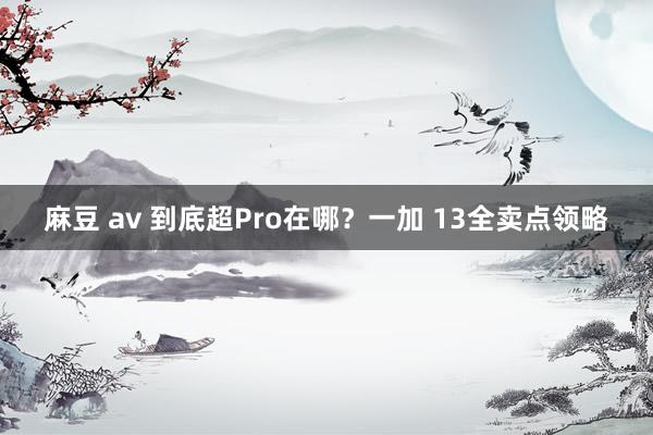 麻豆 av 到底超Pro在哪？一加 13全卖点领略