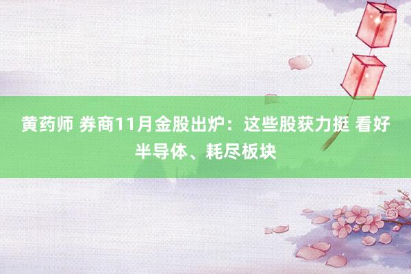 黄药师 券商11月金股出炉：这些股获力挺 看好半导体、耗尽板块