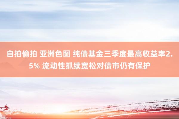 自拍偷拍 亚洲色图 纯债基金三季度最高收益率2.5% 流动性抓续宽松对债市仍有保护