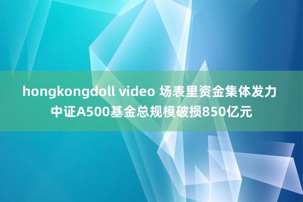 hongkongdoll video 场表里资金集体发力 中证A500基金总规模破损850亿元