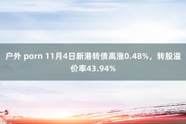 户外 porn 11月4日新港转债高涨0.48%，转股溢价率43.94%