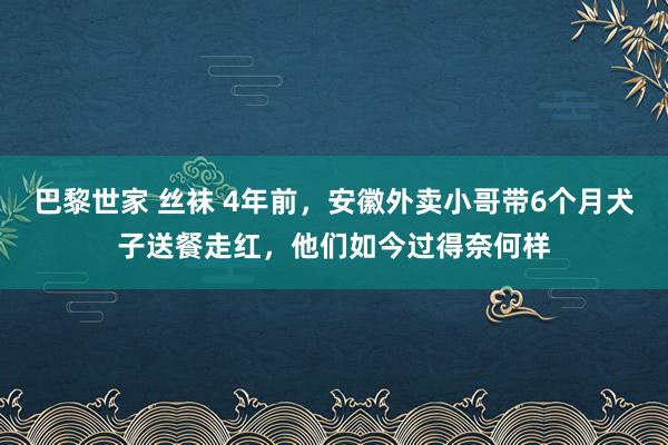 巴黎世家 丝袜 4年前，安徽外卖小哥带6个月犬子送餐走红，他们如今过得奈何样